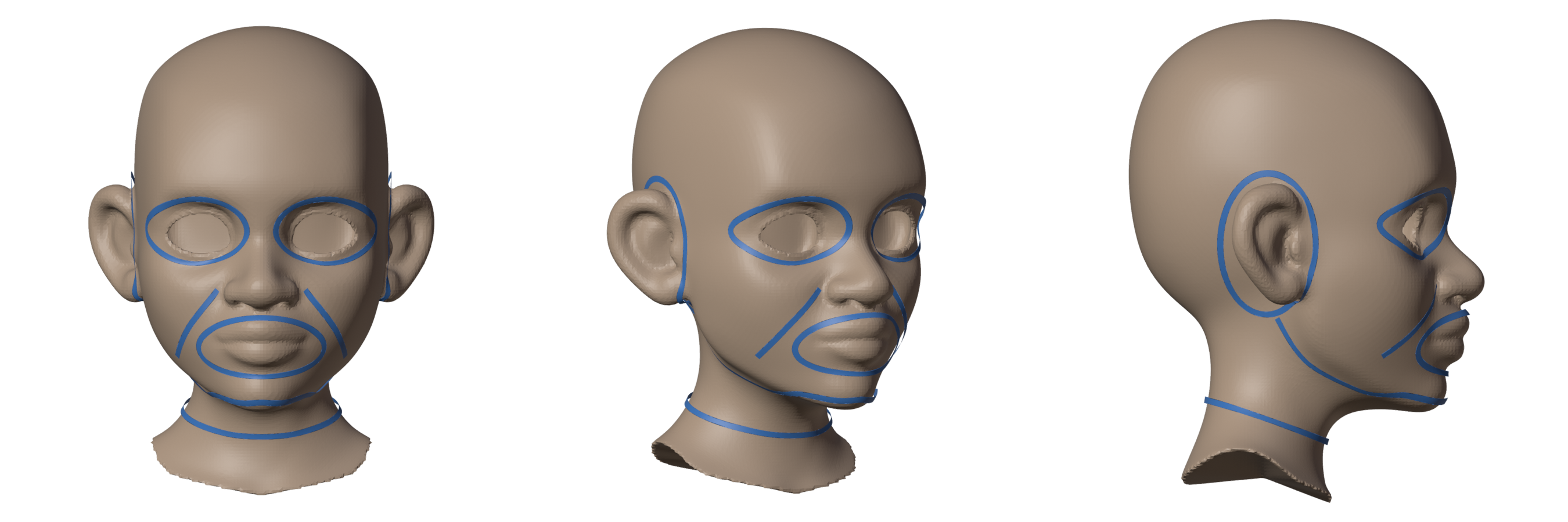 The guides on the stylized head