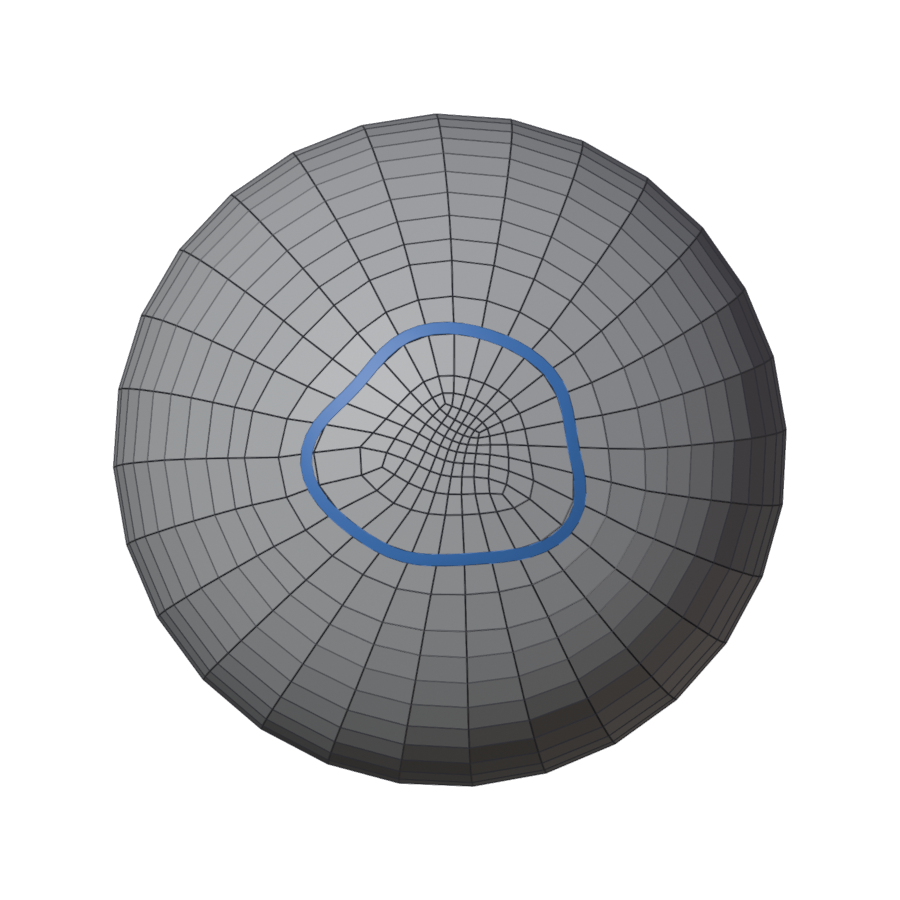 An edge loop round the muzzle
